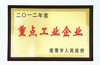 2012年度重點工業(yè)企業(yè)